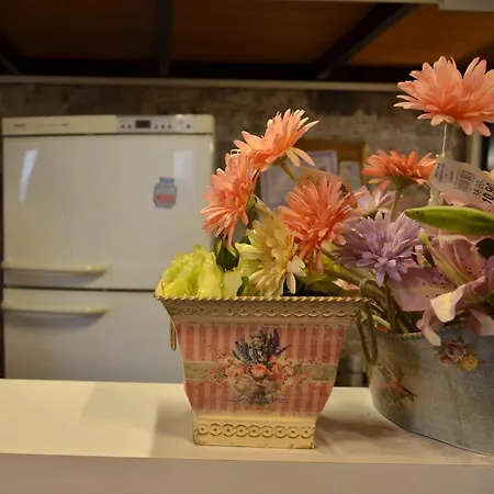 Kispet Antikos Loft House Vendégház Sakarya
