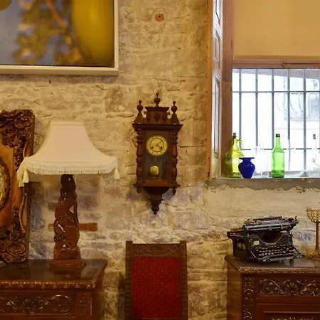 Kispet Antikos Loft House * Sakarya